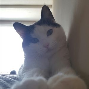 Meet your Posher, Tamara